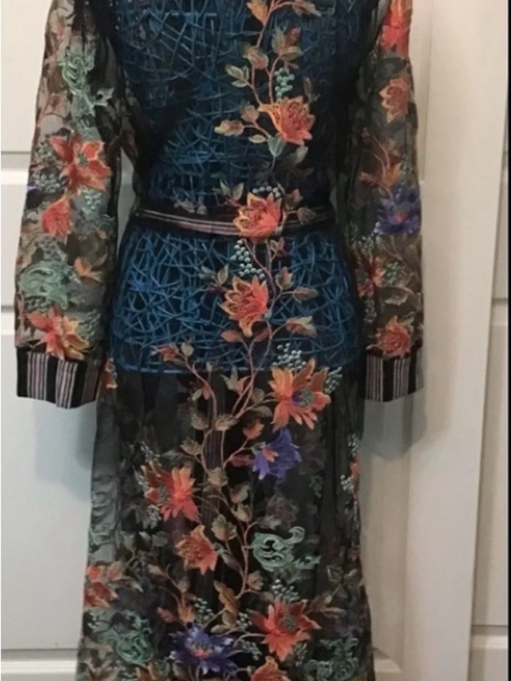 Aratta Sheer Floral Maxi Robe in Black with Multicolor Embroidery - Picture 5 of 7